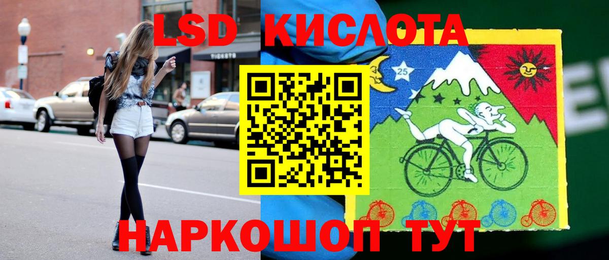 Псилоцибиновые грибы Корсаков
