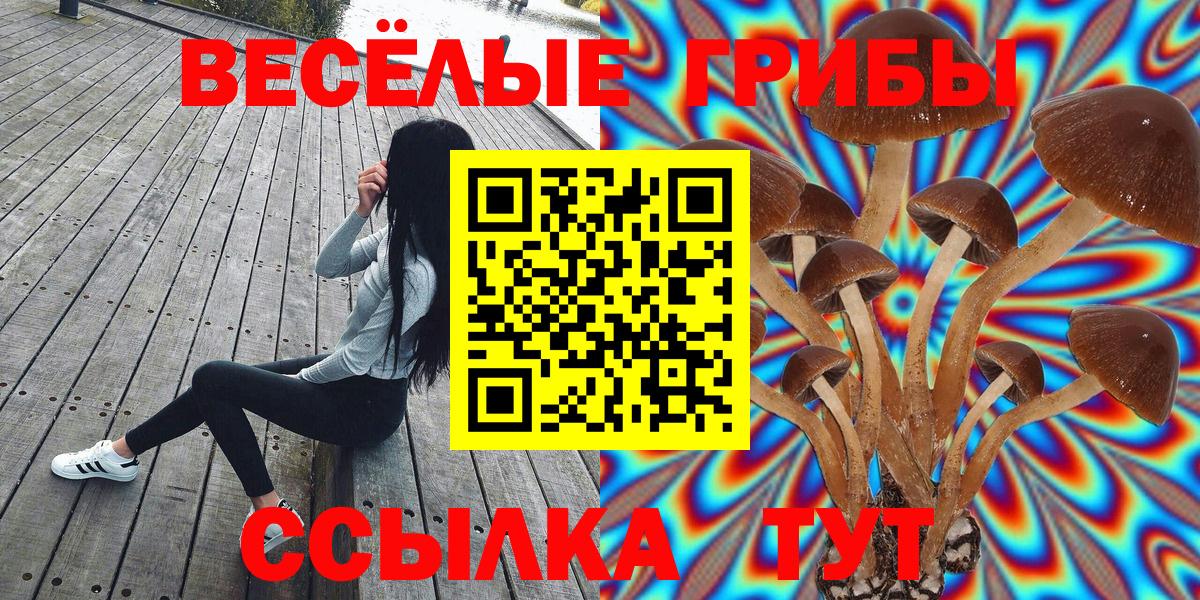 Корсаков  Галлюциногенные грибы мицелий  купить   Вход с VPN  Псилоцибиновые грибы мухоморы 
